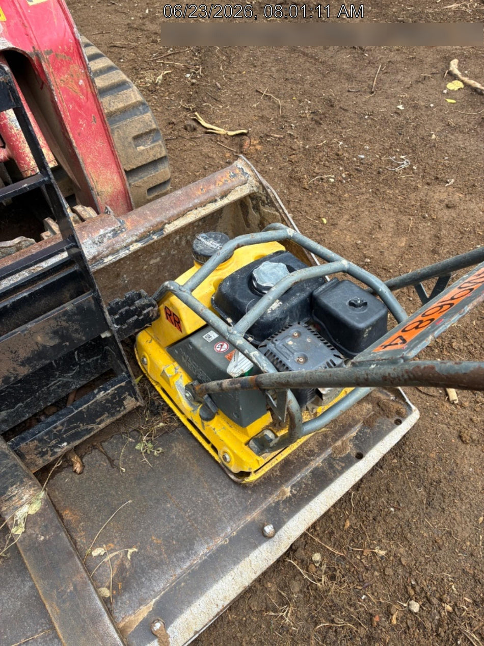 2024 ARROW MATERIAL HANDLING 48" Pallet Forks - Arrow