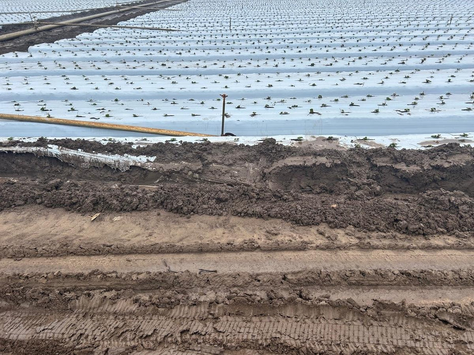 2022 ATLAS COPCO QAS 175