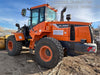 2021 DOOSAN DL250-5