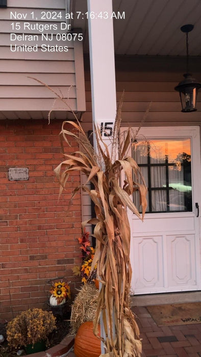 2023 DITCH WITCH C24XA