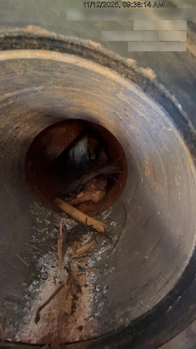 2022 ATLAS COPCO PAC F66 KD