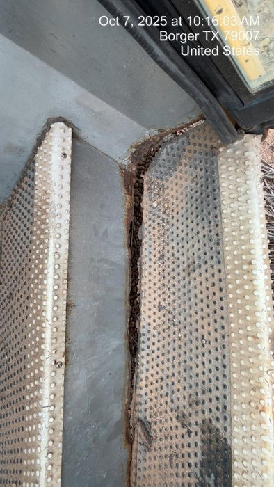 2012 BLUE BIRD 72 Passenger Bus