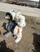 2021 INGERSOLL RAND PD30P-DPS-PTT-A