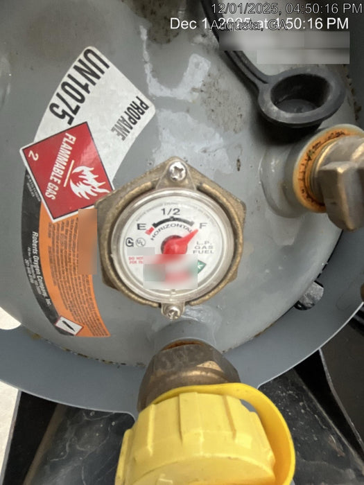 2019 MILLER ELECTRIC Bobcat 250 - Propane