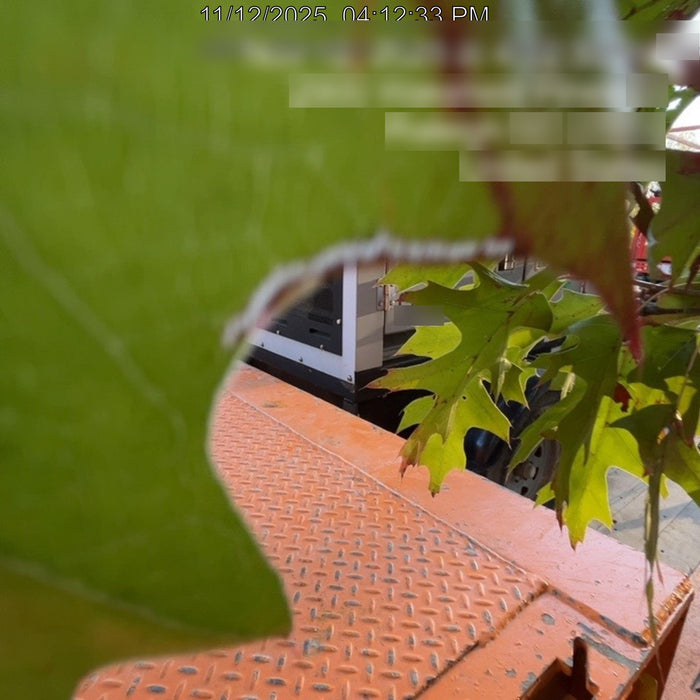 2019 WACKER NEUSON G25