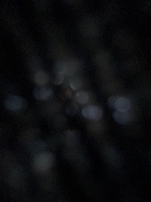 2025 MULTIQUIP WM90PH8