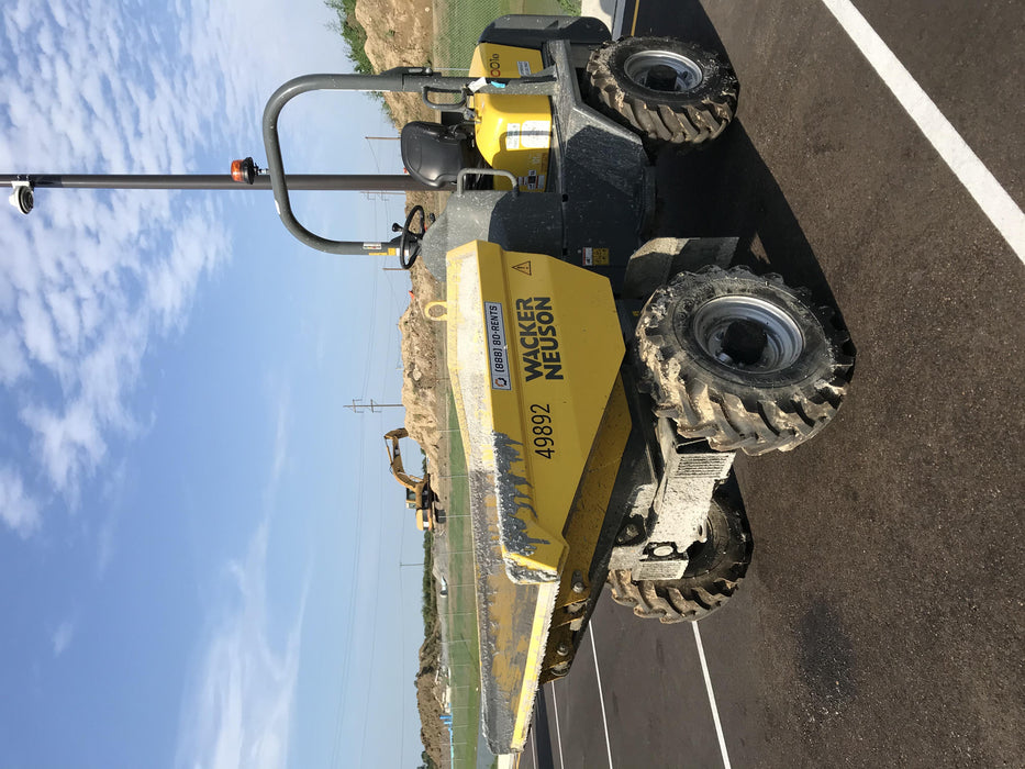 2019 WACKER NEUSON 3001