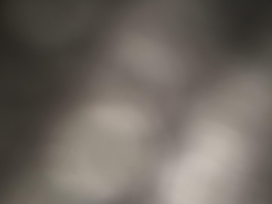 2020 Takeuchi TL12 Standard