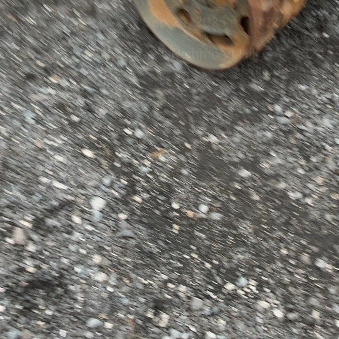 2021 WACKER NEUSON RTLx-SC3