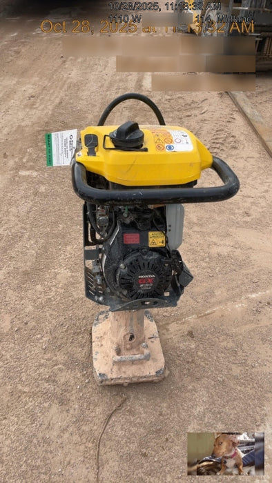 2025 WACKER NEUSON BS62-4Ab/28