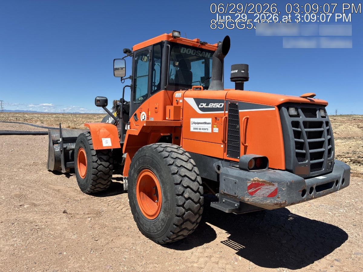 2019 DOOSAN DL250-5