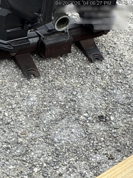 2021 INGERSOLL RAND PD20A-AAP-CCC-B