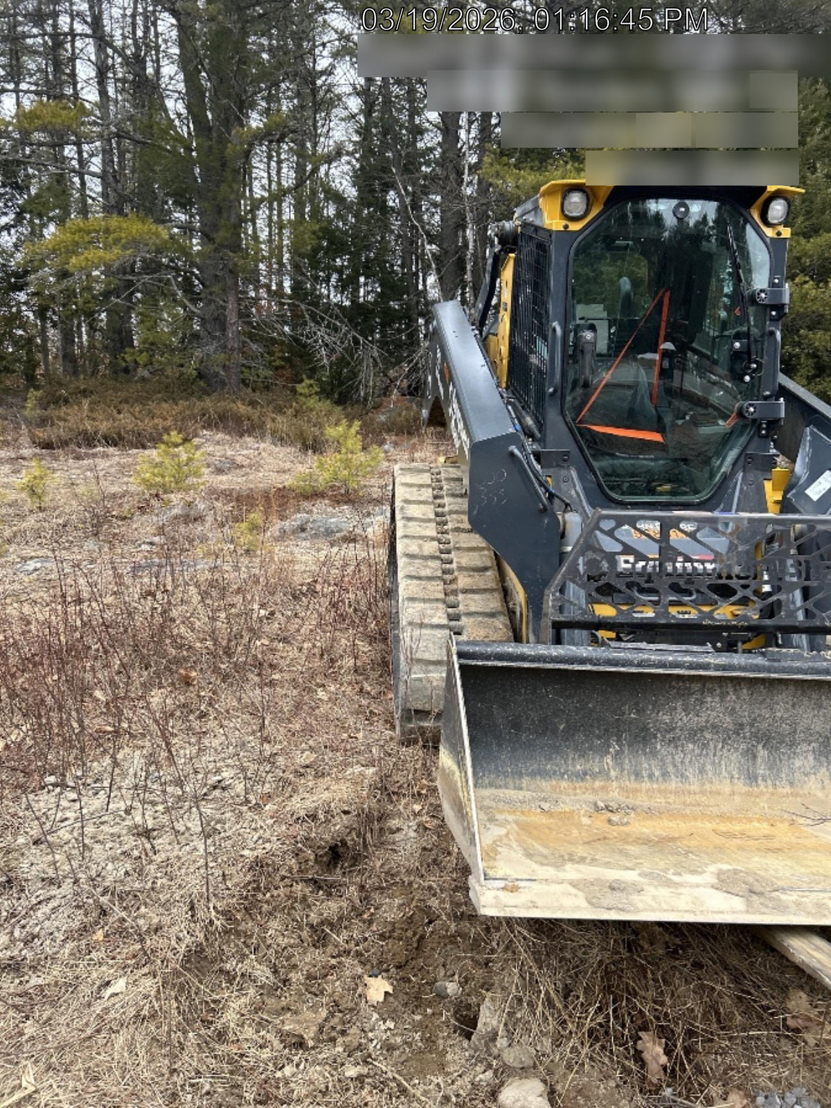 2025 PALADIN 48" Pallet Forks - Paladin