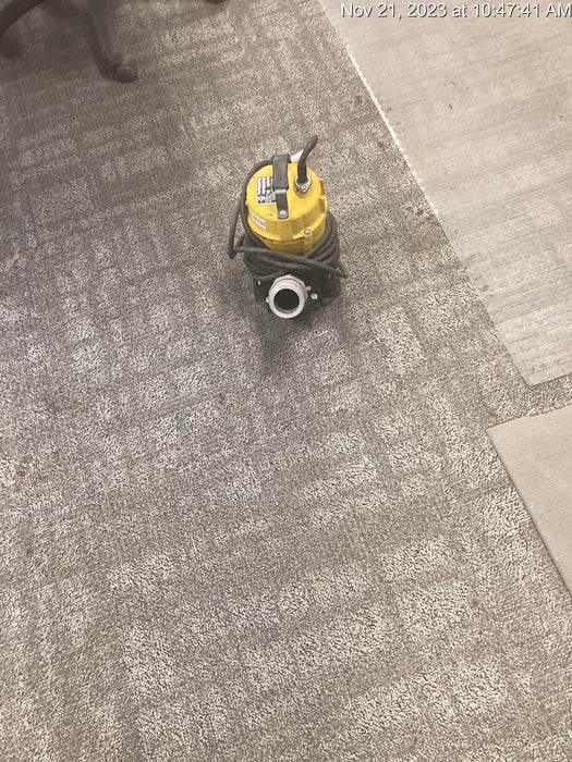 2020 WACKER NEUSON PST2