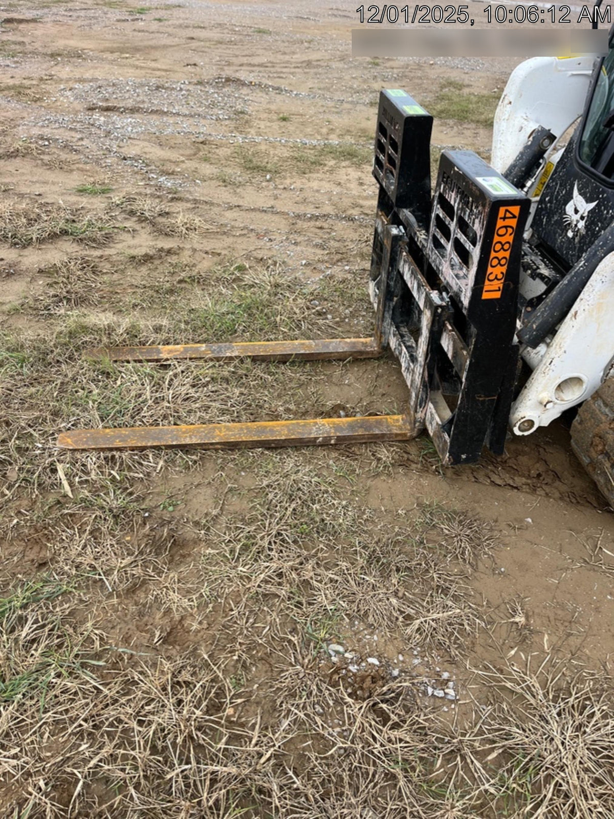 2025 PALADIN 48" Pallet Forks - Paladin