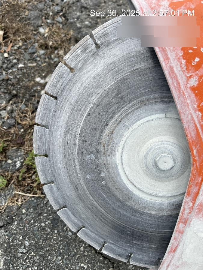 2020 STIHL TS420