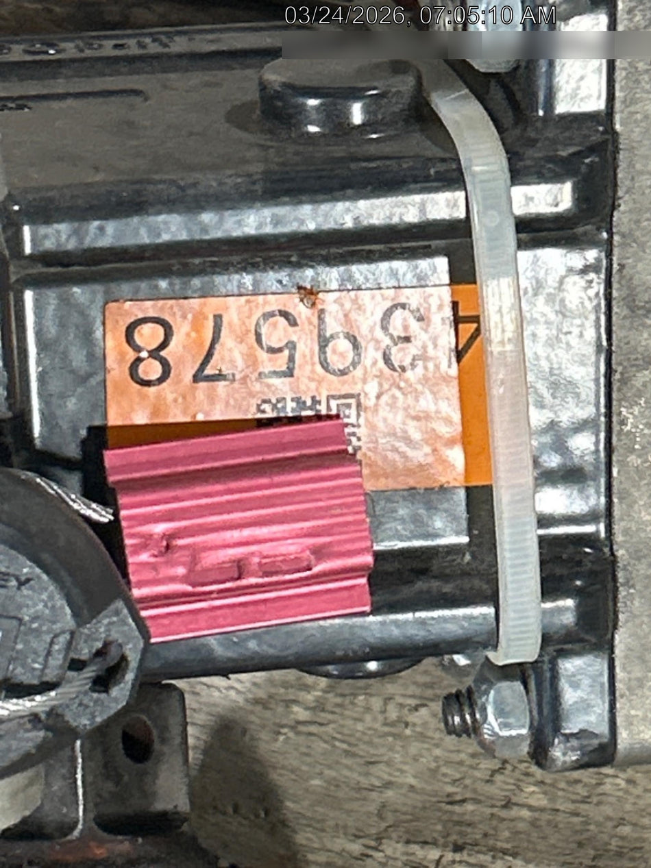 2024 PETOL PHD0535