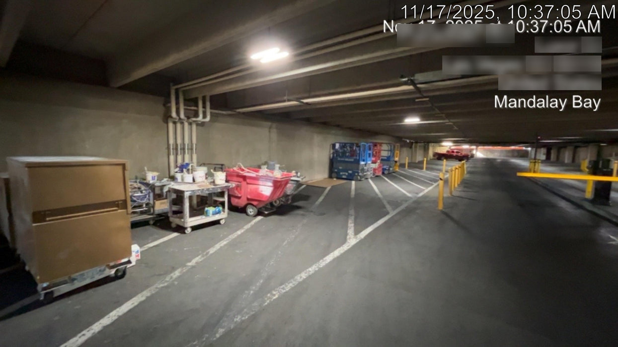 2019 Genie GS-1930 Fixed rails with chain Entry