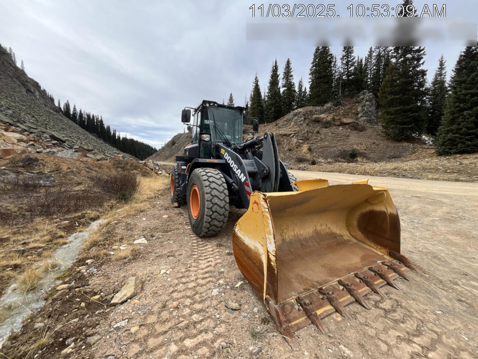2021 DOOSAN DL250-5