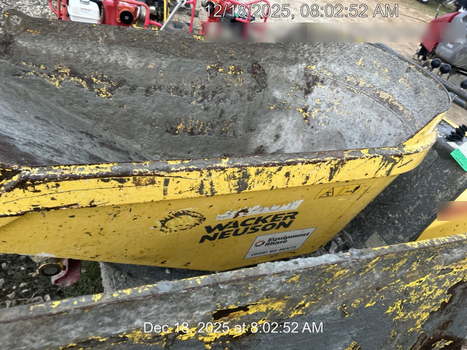 2019 WACKER NEUSON DT10