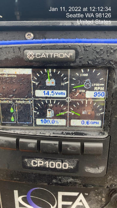 2021 PIONEER PP66S12L71-TD2.9L4