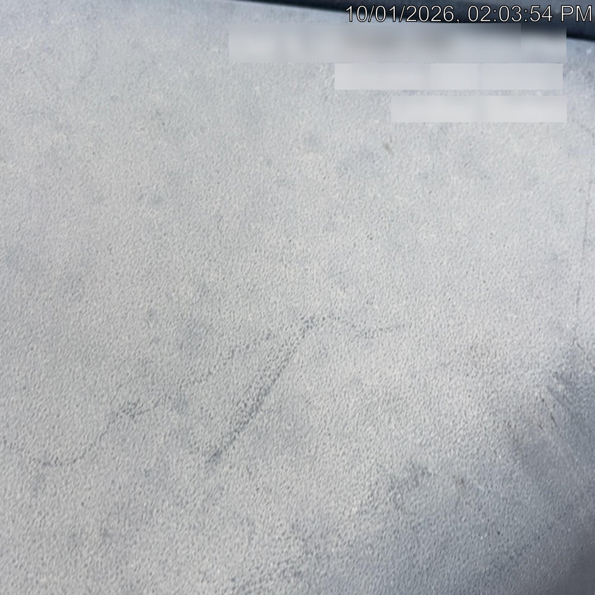 2021 ALLMAND NLV3GR