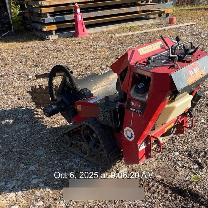 2021 TORO TRX-250