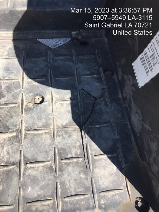 2020 YANMAR LONGHORN, 4-6 Seater