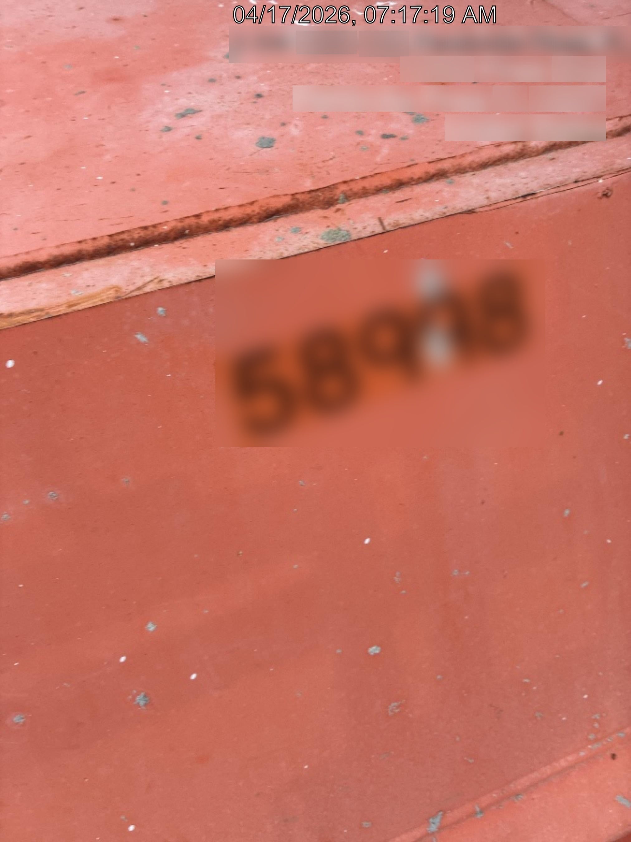 2019 JLG 460SJ