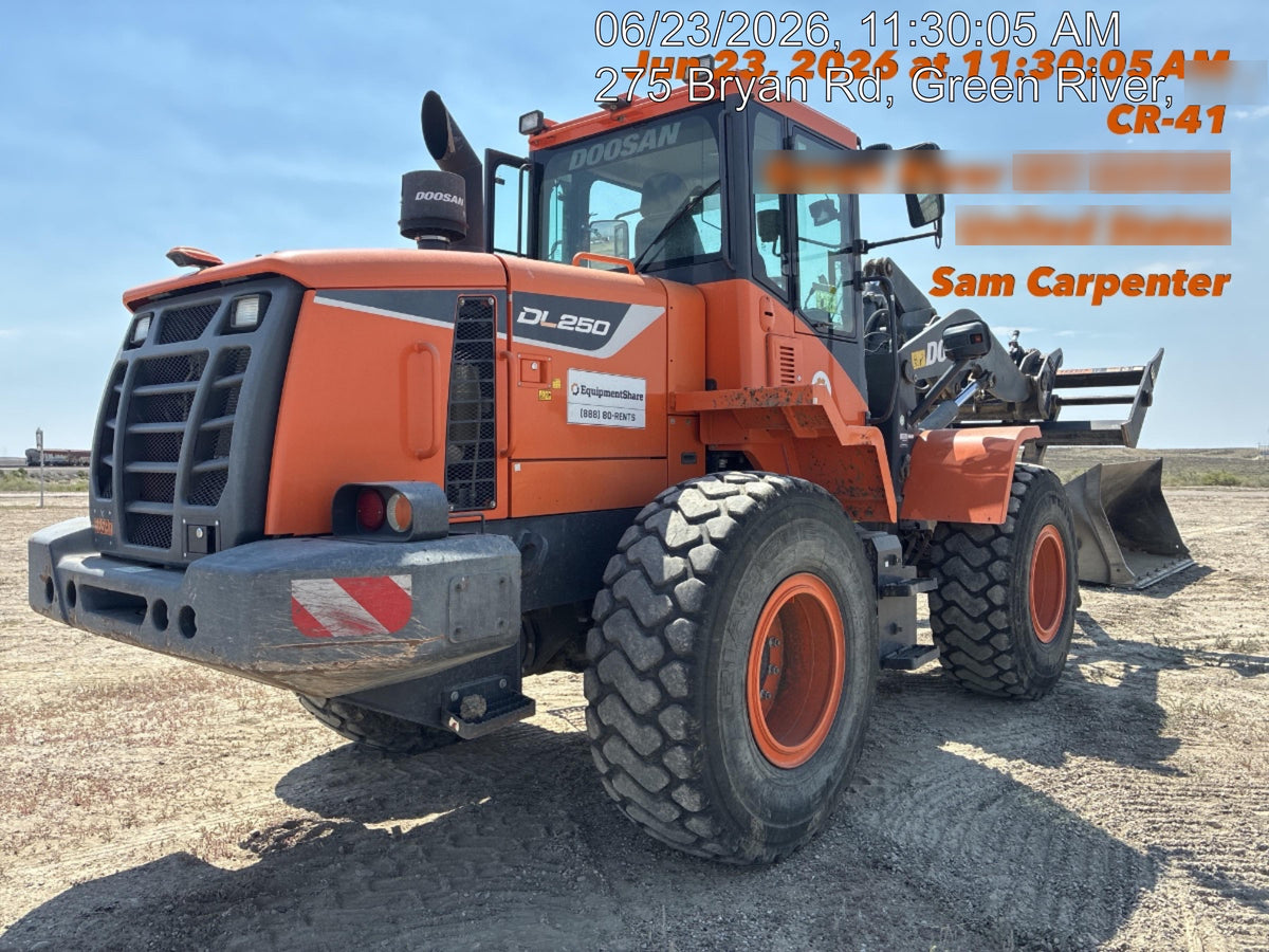 2019 DOOSAN DL250-5