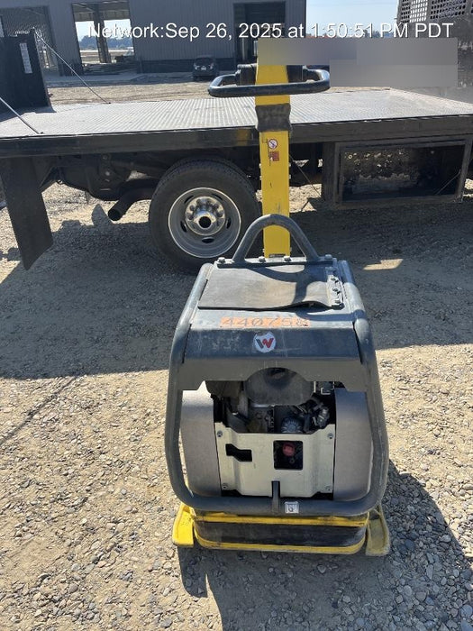 2024 WACKER NEUSON DPU6555Heh