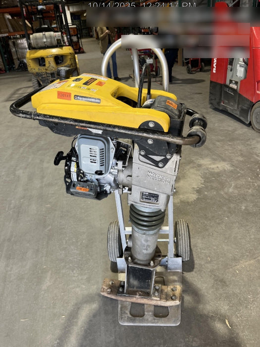 2021 WACKER NEUSON BS50-4As