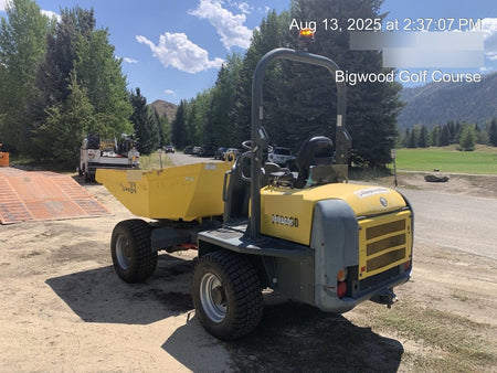 2020 WACKER NEUSON 3001