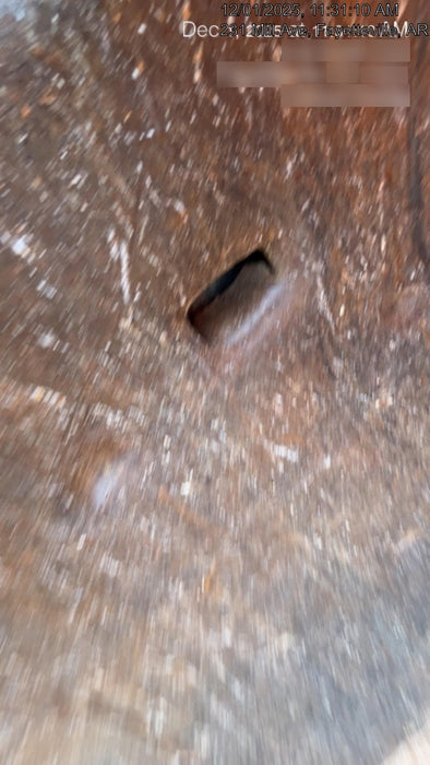 2020 LINK-BELT 145X4DZ