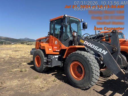 2019 DOOSAN DL250-5
