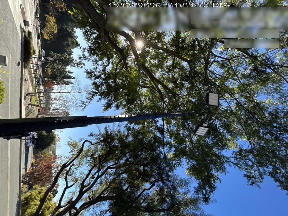 2024 WACKER NEUSON LTT4