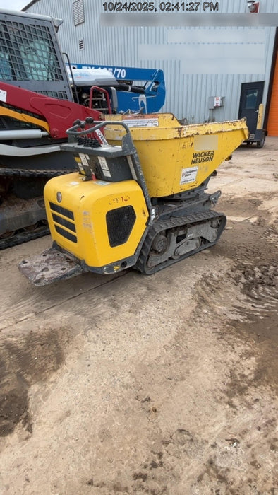 2019 WACKER NEUSON DT10