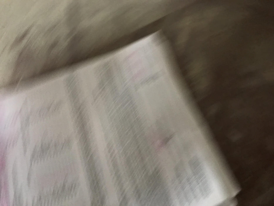 2019 Skyjack SJIII-3226 Standard w/Trojan Batteries