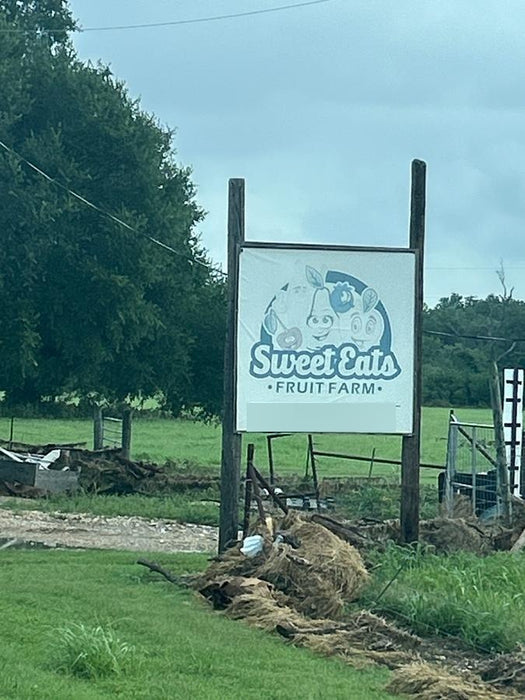 2023 LINCOLN ELECTRIC LE400