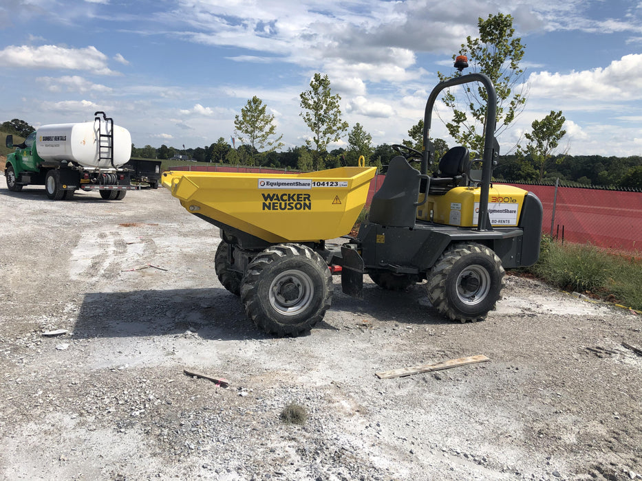 2020 WACKER NEUSON 3001