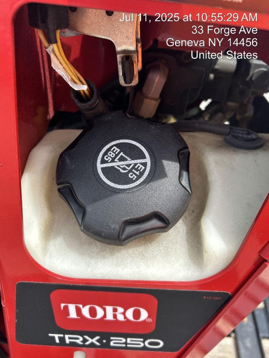 2023 TORO TRX-250