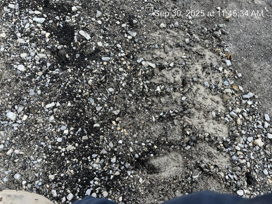 2020 Takeuchi TB290C Cab/Heat/Air, Rubber Tracks, Manual TAG QC