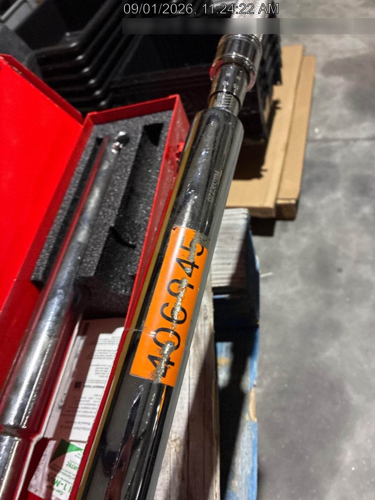 2024 WRIGHT 8447