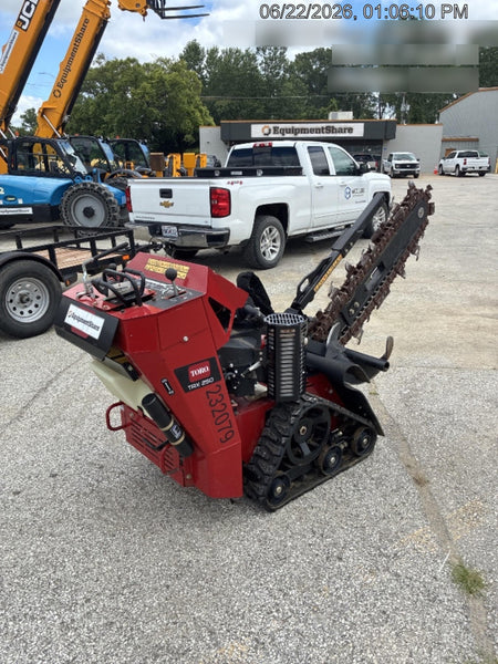 2022 TORO TRX-250