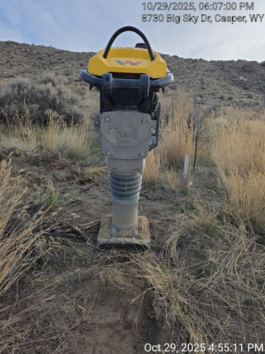 2025 WACKER NEUSON BS62-4Ab/28