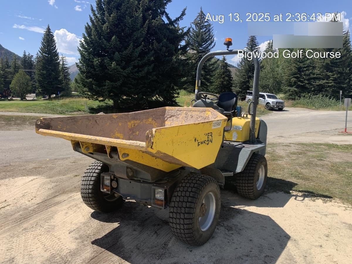 2020 WACKER NEUSON 3001
