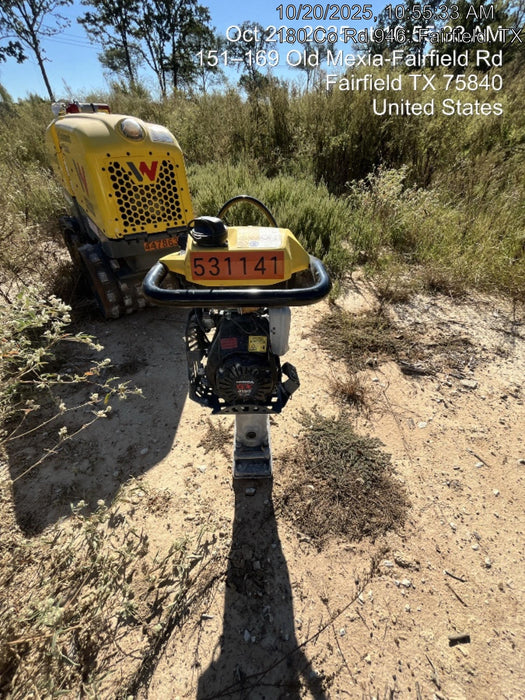 2025 WACKER NEUSON BS62-4Ab/28