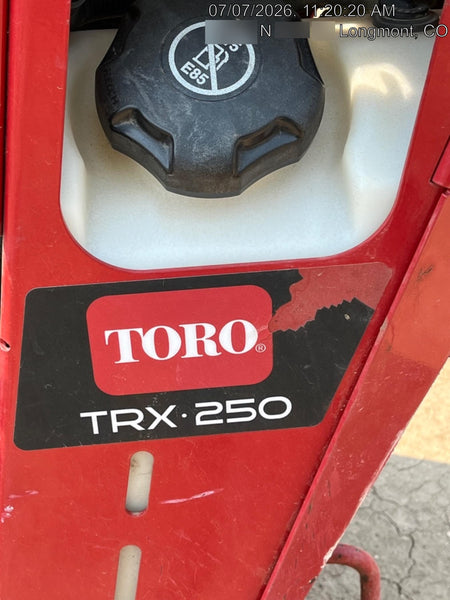 2021 TORO TRX-250