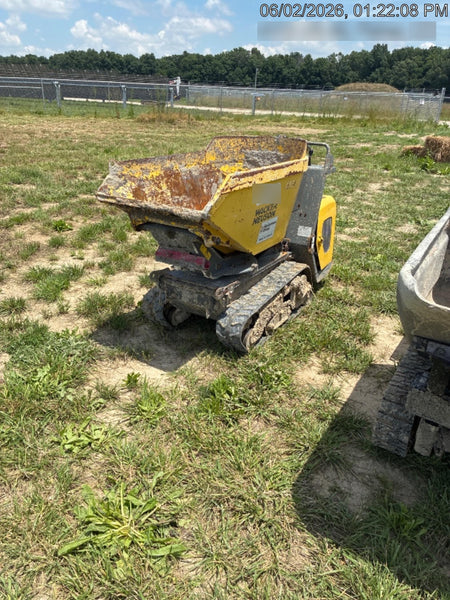 2019 WACKER NEUSON DT10