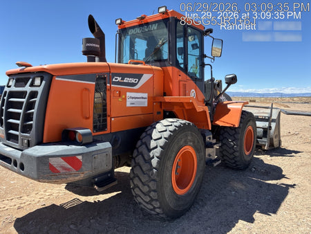 2019 DOOSAN DL250-5